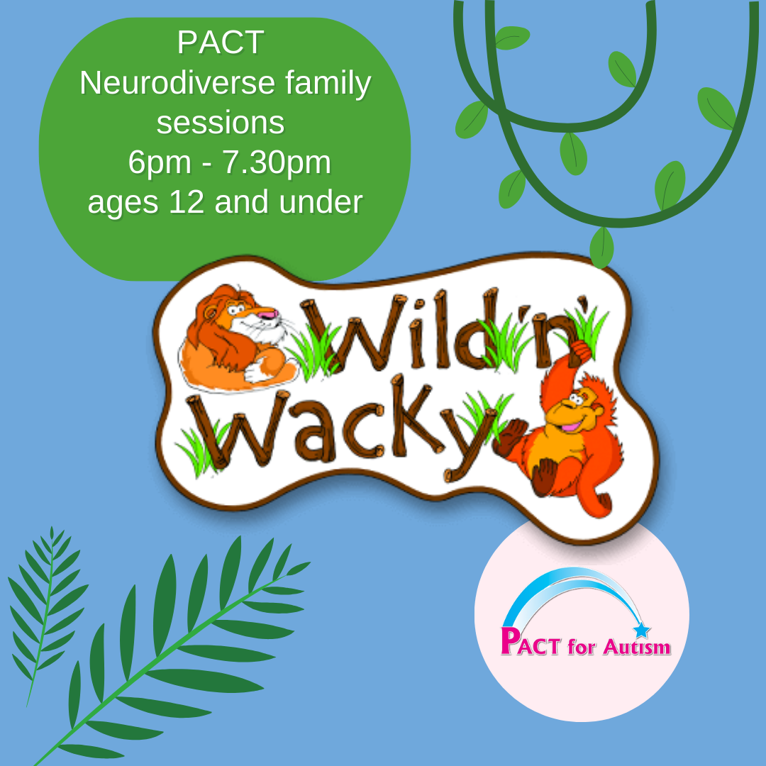 Wild & Wacky Soft Play Wild &lsquo;n&rsquo; Wacky Neurodiverse family Sessions