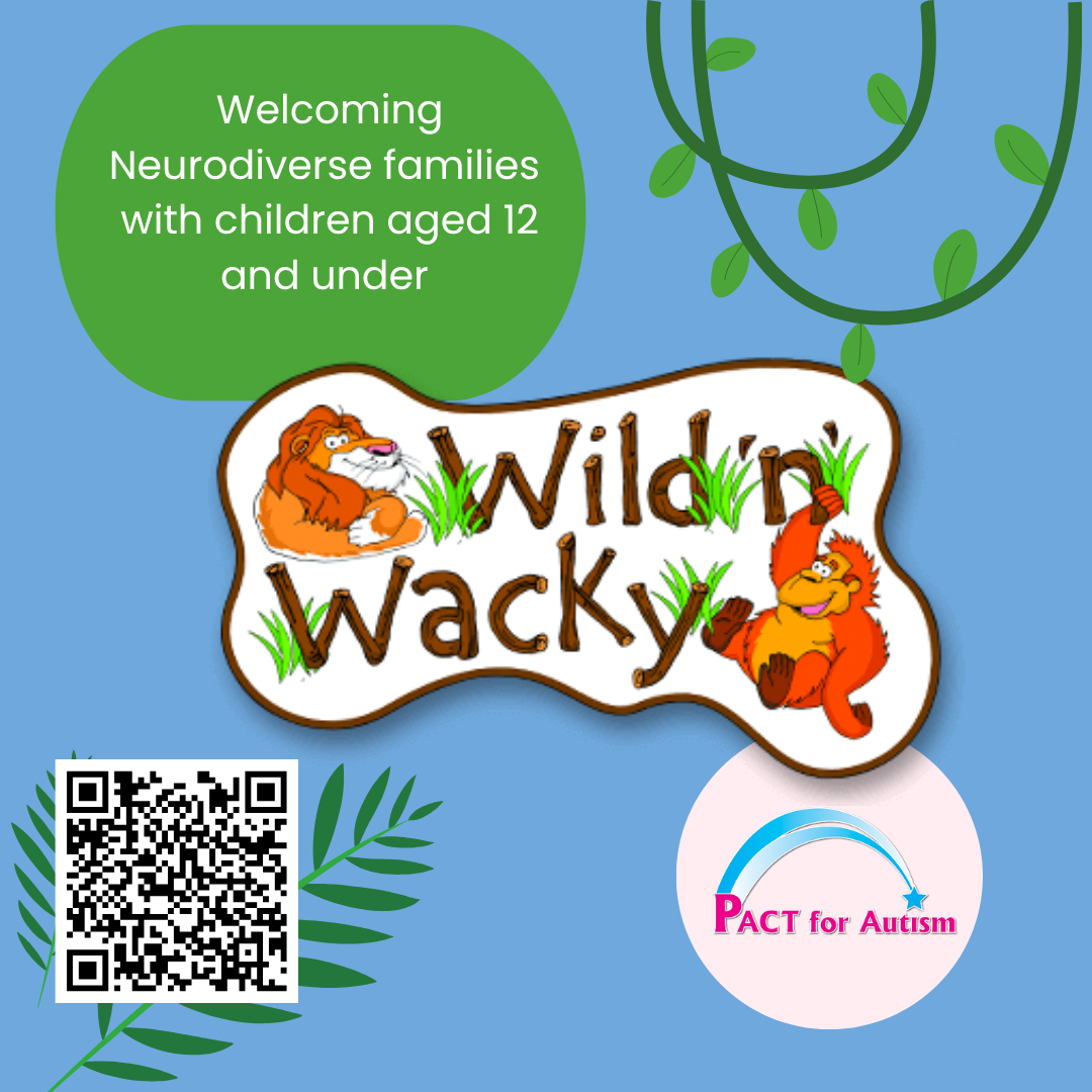 Wild & Wacky Soft Play Wild ‘n’ Wacky Neurodiverse family Sessions