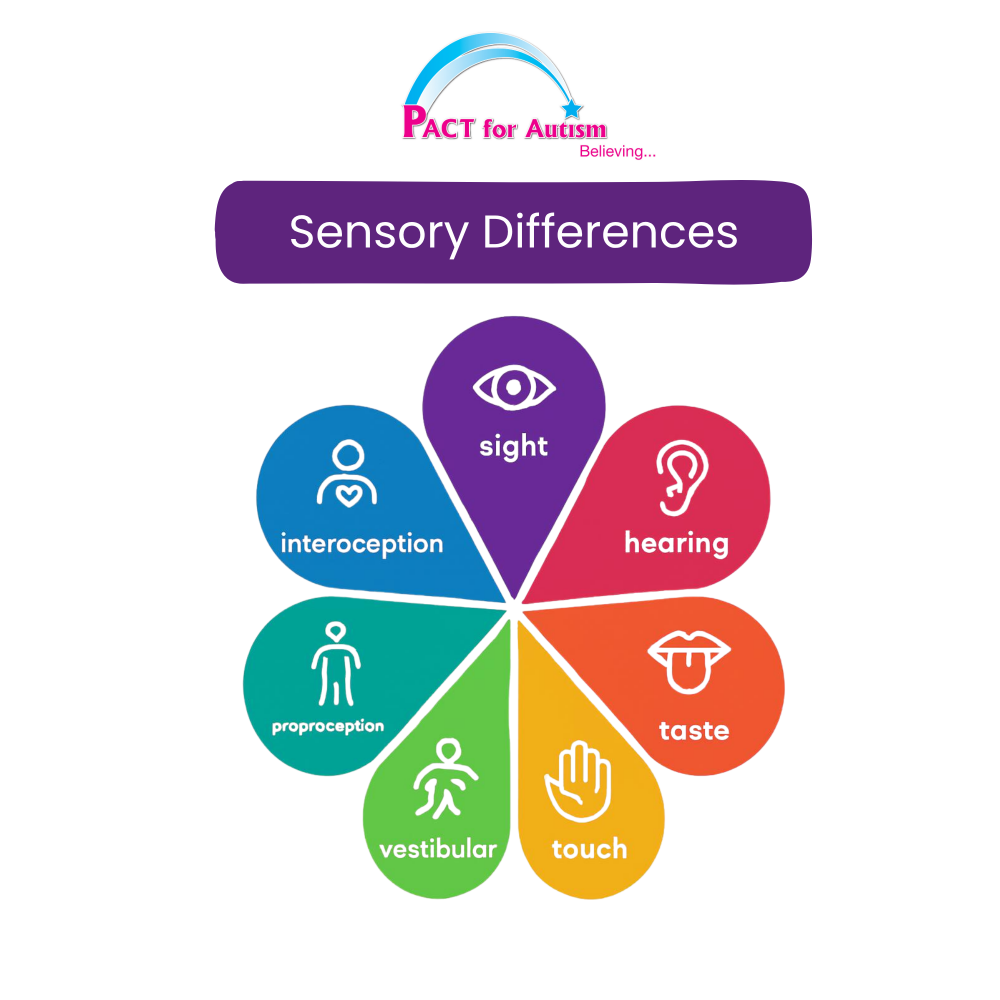 Sensory Understanding Sensory differences and ways to support